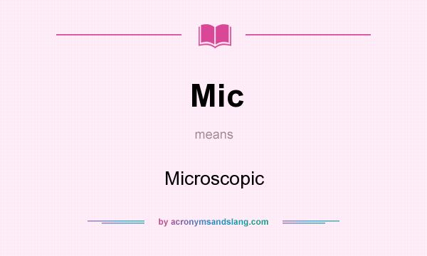 What does Mic mean? It stands for Microscopic