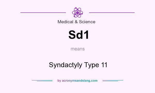 What does Sd1 mean? It stands for Syndactyly Type 11