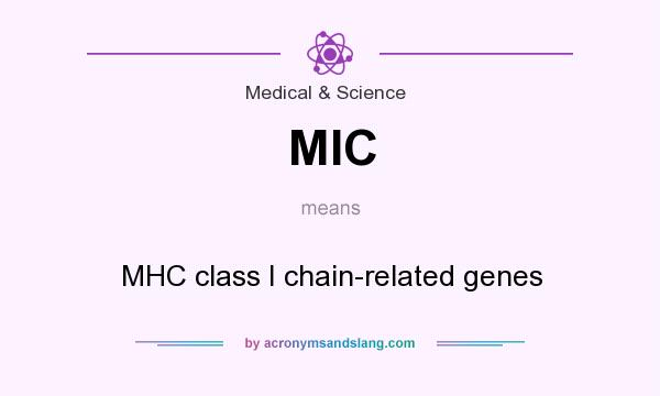 What does MIC mean? It stands for MHC class I chain-related genes