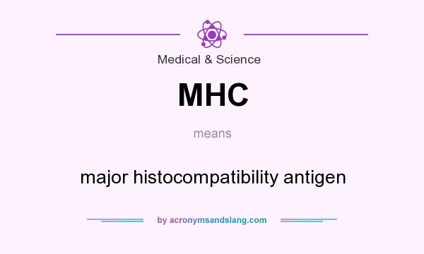 What does MHC mean? It stands for major histocompatibility antigen