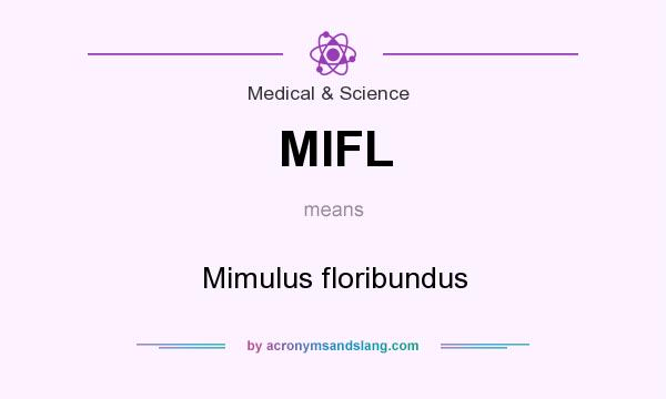 What does MIFL mean? It stands for Mimulus floribundus