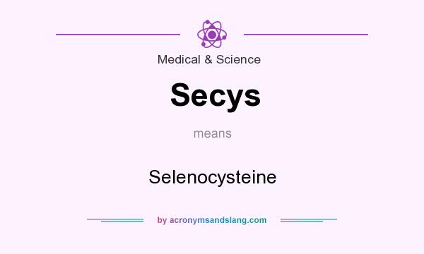 What does Secys mean? It stands for Selenocysteine