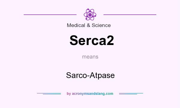 What does Serca2 mean? It stands for Sarco-Atpase