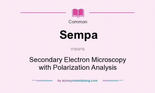 What does Sempa mean? It stands for Secondary Electron Microscopy with Polarization Analysis