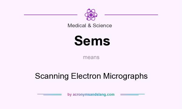 What does Sems mean? It stands for Scanning Electron Micrographs