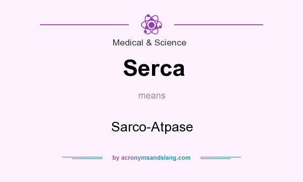 What does Serca mean? It stands for Sarco-Atpase
