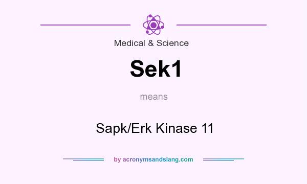 What does Sek1 mean? It stands for Sapk/Erk Kinase 11