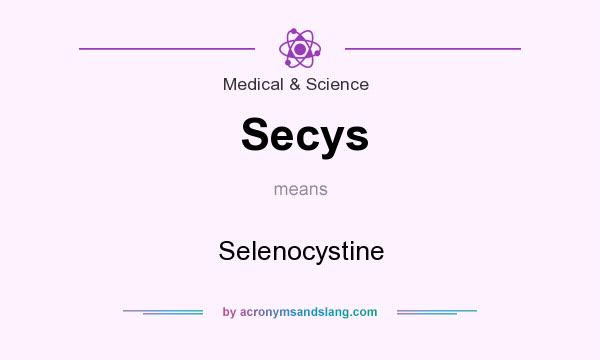 What does Secys mean? It stands for Selenocystine