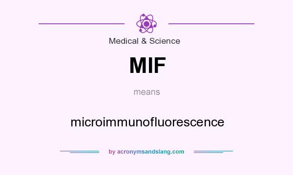What does MIF mean? It stands for microimmunofluorescence