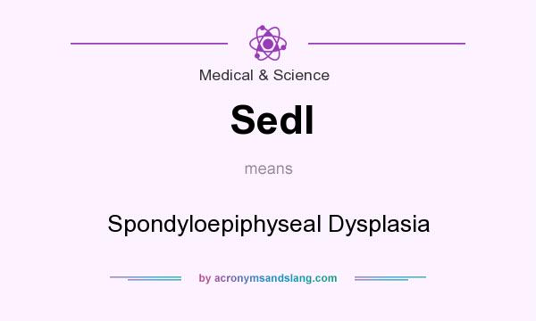 What does Sedl mean? It stands for Spondyloepiphyseal Dysplasia
