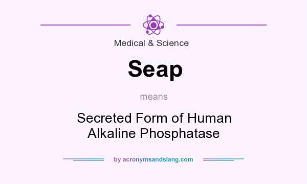 What does Seap mean? It stands for Secreted Form of Human Alkaline Phosphatase