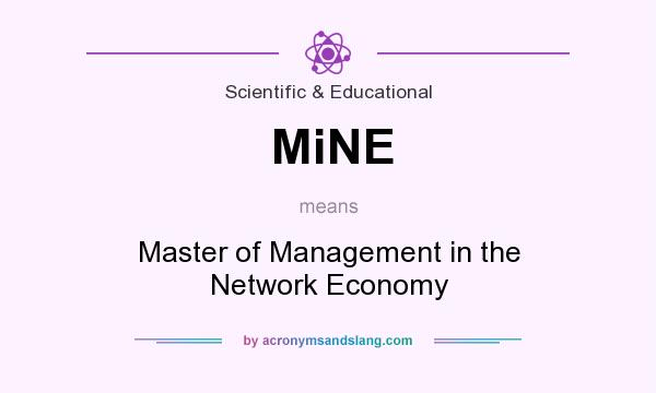 What does MiNE mean? It stands for Master of Management in the Network Economy