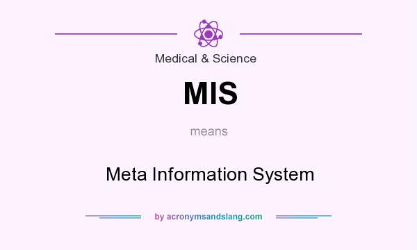 What does MIS mean? It stands for Meta Information System
