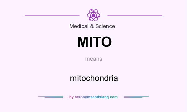 What does MITO mean? It stands for mitochondria