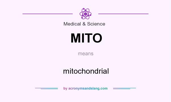 What does MITO mean? It stands for mitochondrial