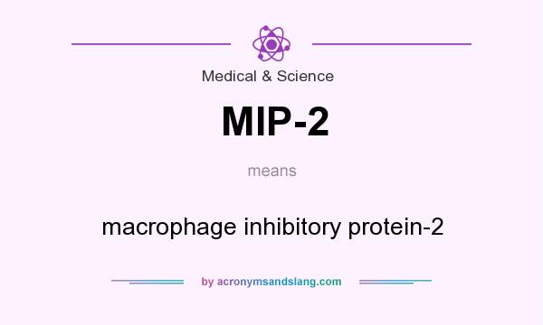 What does MIP-2 mean? It stands for macrophage inhibitory protein-2