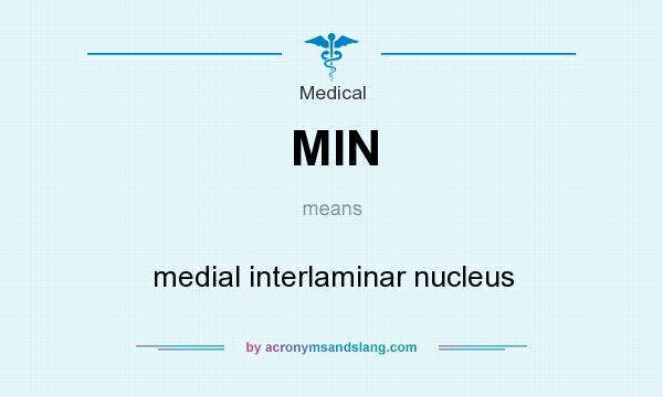 What does MIN mean? It stands for medial interlaminar nucleus