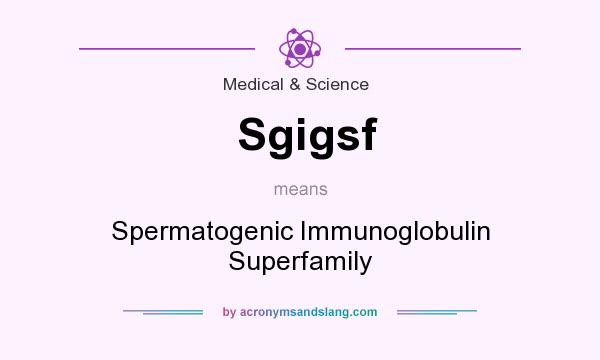 What does Sgigsf mean? It stands for Spermatogenic Immunoglobulin Superfamily