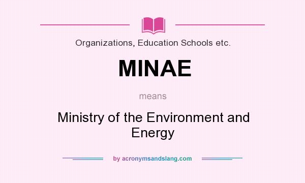 What does MINAE mean? It stands for Ministry of the Environment and Energy