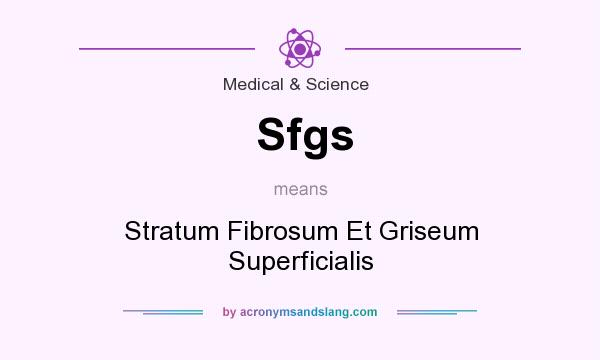 What does Sfgs mean? It stands for Stratum Fibrosum Et Griseum Superficialis