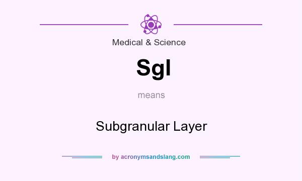 What does Sgl mean? It stands for Subgranular Layer