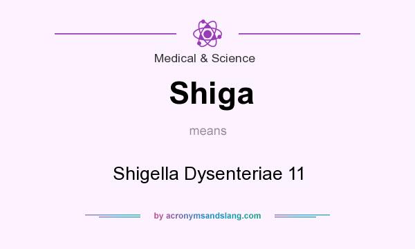 What does Shiga mean? It stands for Shigella Dysenteriae 11