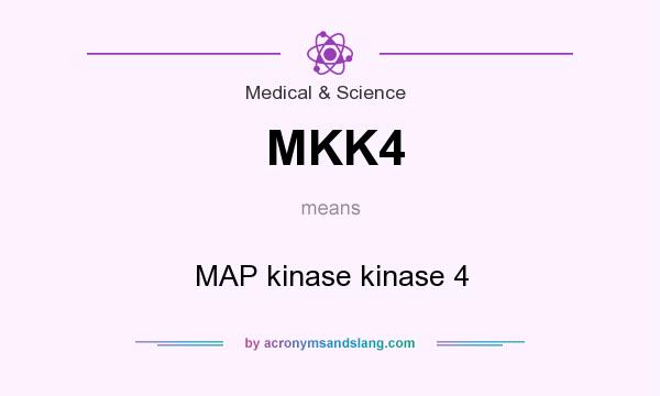 What does MKK4 mean? It stands for MAP kinase kinase 4