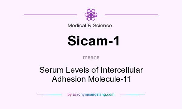 What does Sicam-1 mean? It stands for Serum Levels of Intercellular Adhesion Molecule-11