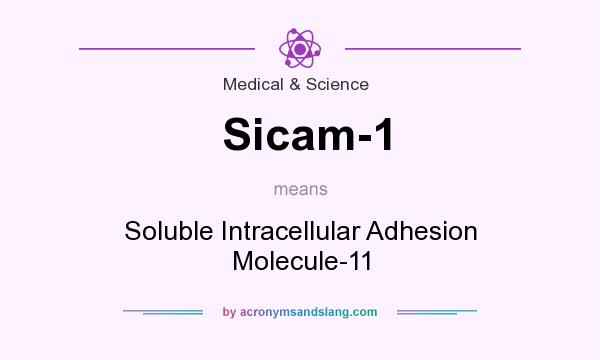 What does Sicam-1 mean? It stands for Soluble Intracellular Adhesion Molecule-11