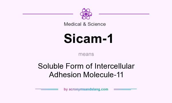 What does Sicam-1 mean? It stands for Soluble Form of Intercellular Adhesion Molecule-11