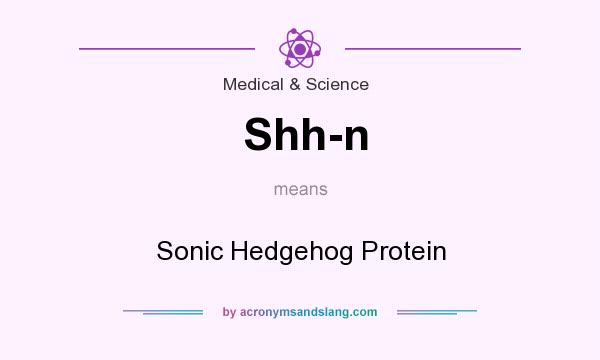 What does Shh-n mean? It stands for Sonic Hedgehog Protein