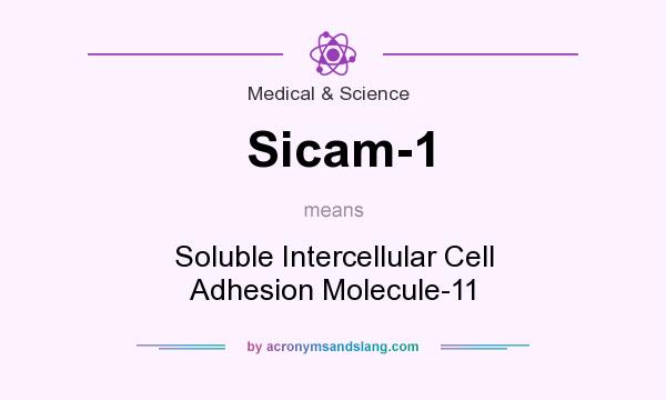 What does Sicam-1 mean? It stands for Soluble Intercellular Cell Adhesion Molecule-11