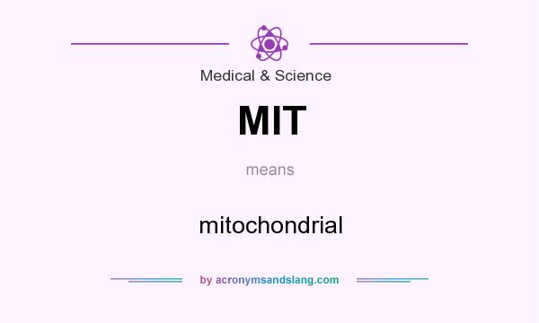 What does MIT mean? It stands for mitochondrial