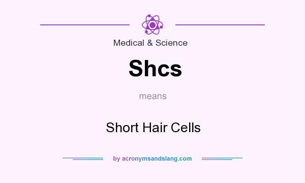 What does Shcs mean? It stands for Short Hair Cells