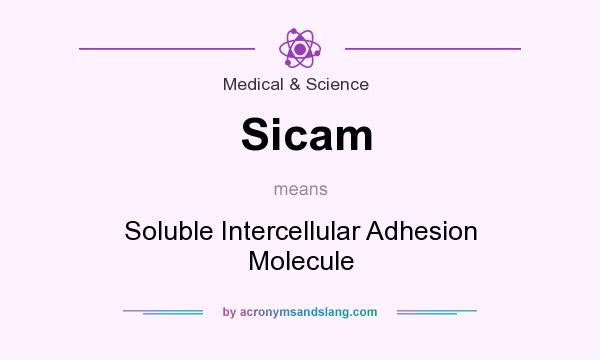 What does Sicam mean? It stands for Soluble Intercellular Adhesion Molecule