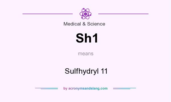 What does Sh1 mean? It stands for Sulfhydryl 11