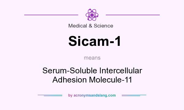 What does Sicam-1 mean? It stands for Serum-Soluble Intercellular Adhesion Molecule-11
