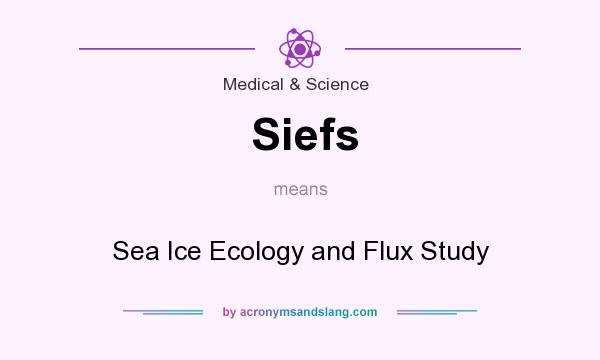 What does Siefs mean? It stands for Sea Ice Ecology and Flux Study