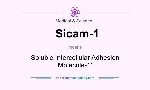 What does Sicam-1 mean? It stands for Soluble Intercellular Adhesion Molecule-11