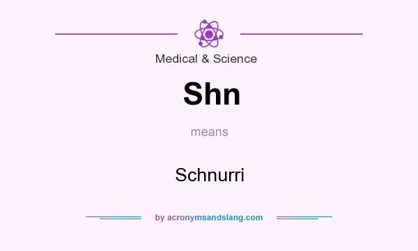 What does Shn mean? It stands for Schnurri