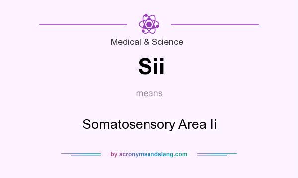 What does Sii mean? It stands for Somatosensory Area Ii
