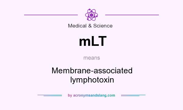 What does mLT mean? It stands for Membrane-associated lymphotoxin