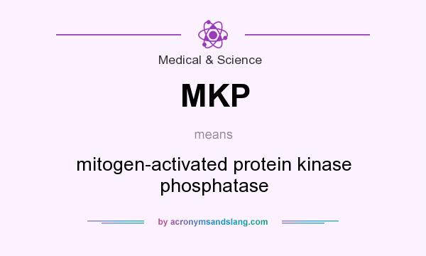 What does MKP mean? It stands for mitogen-activated protein kinase phosphatase