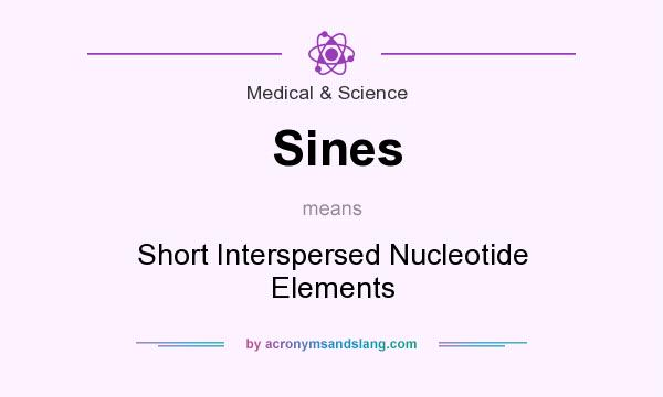 What does Sines mean? It stands for Short Interspersed Nucleotide Elements