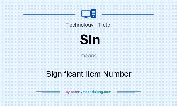 What does Sin mean? It stands for Significant Item Number
