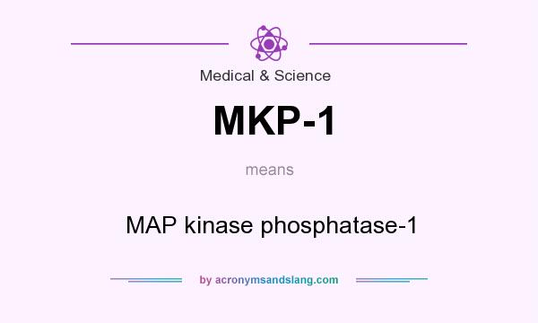 What does MKP-1 mean? It stands for MAP kinase phosphatase-1