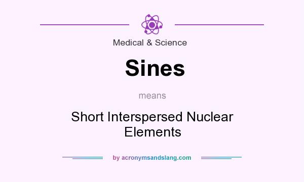 What does Sines mean? It stands for Short Interspersed Nuclear Elements