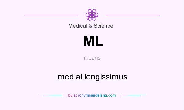 What does ML mean? It stands for medial longissimus