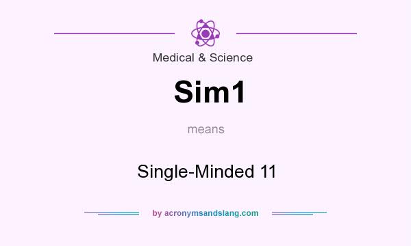 What does Sim1 mean? It stands for Single-Minded 11