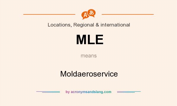 What does MLE mean? It stands for Moldaeroservice
